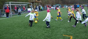 Cup1a